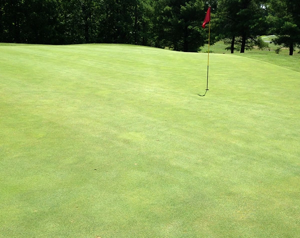 Town Of Colonie Golf Course SportSpring